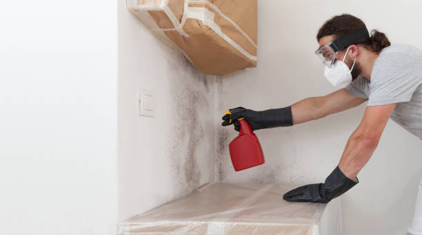 Professional Bathroom Mold Removal technician working in Belford, NJ